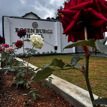 Rosen Burge Nuwaraeliya