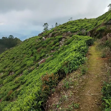 Rs Mountain *