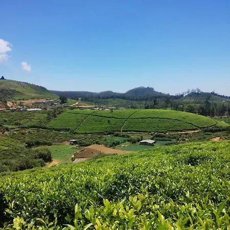 Rs Mountain * Nuwara Eliya