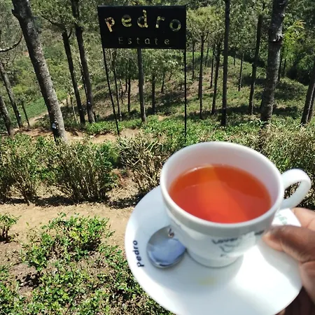 Rs Mountain