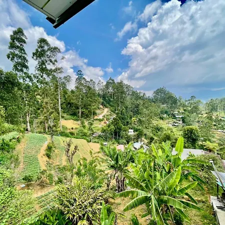 Villa Elegant Mist *