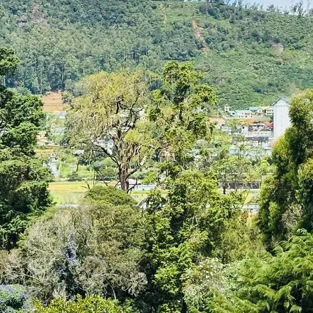 Terwanguy Grand View T-38 Apartment