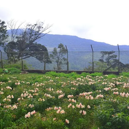 Sky Breeze Nuwara Eliya, Sri Lanka Nuwara Eliya
