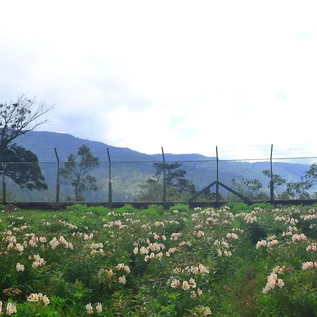 Sky Breeze Nuwara Eliya, Sri Lanka Nuwara Eliya