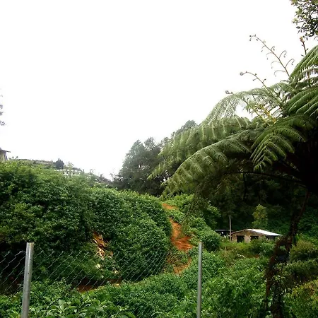 Isuru Garden Rest Guest house Nuwara Eliya