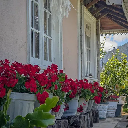 Homestay Royal Wattles Boutique *