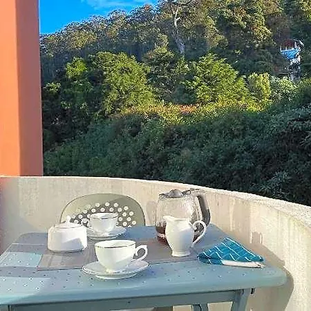 Hotel Panoramic