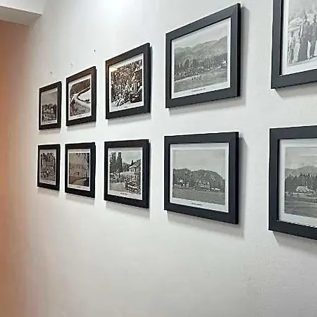 Hotel Panoramic