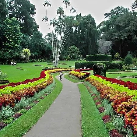 Manudi Glenfallsedge Rest 3* Nuwara Eliya