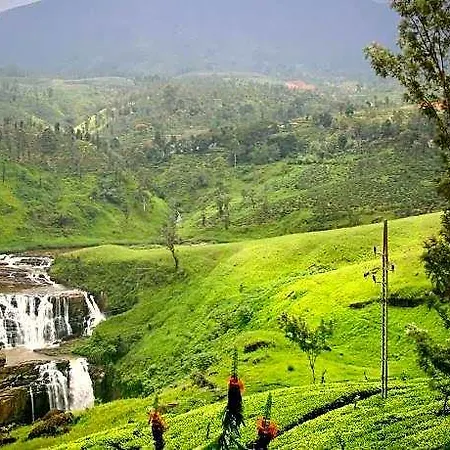 Oak Ray Summer Hill Breeze Nuwara Eliya
