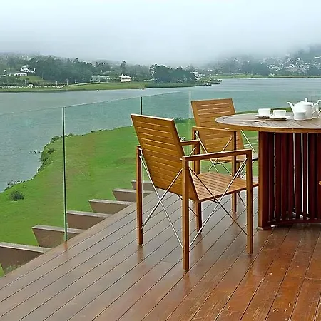 Villa Tea Plant