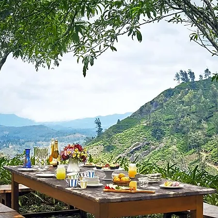 Hotel Jetwing Warwick Gardens, A Luxury Reserve