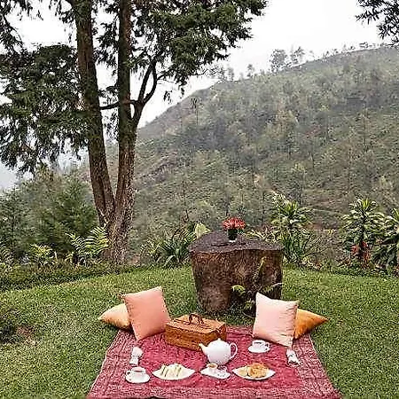 Jetwing Warwick Gardens, A Luxury Reserve 5* Nuwara Eliya