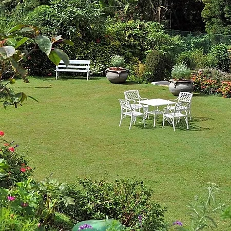 Royal Cocoon - Hotel