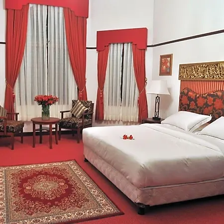Royal Cocoon -