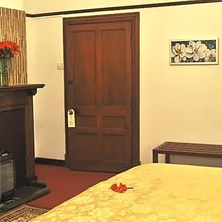 Royal Cocoon -