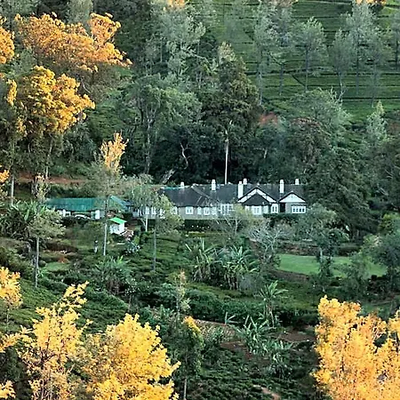 Scottish Planter Bungalow- Thema Collection Hotel
