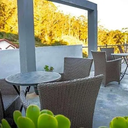 Lodge Forest View