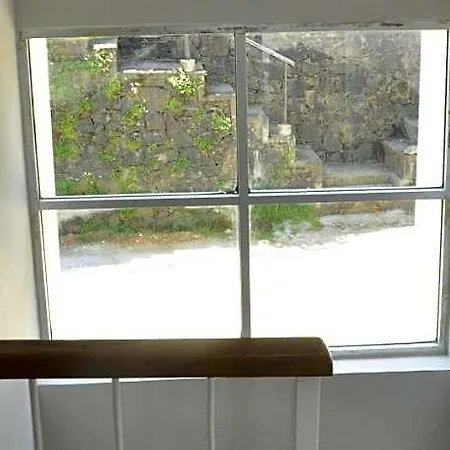 Lodge Forest View
