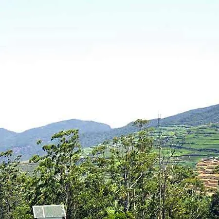 Lodge Forest View *
