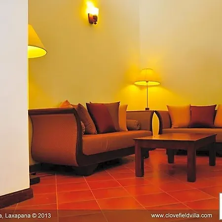 Clovefield Guest house Nuwara Eliya