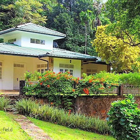 Clovefield Guest house 2*