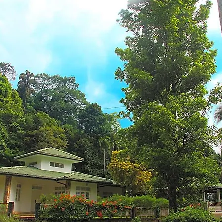Clovefield Guest house 2*