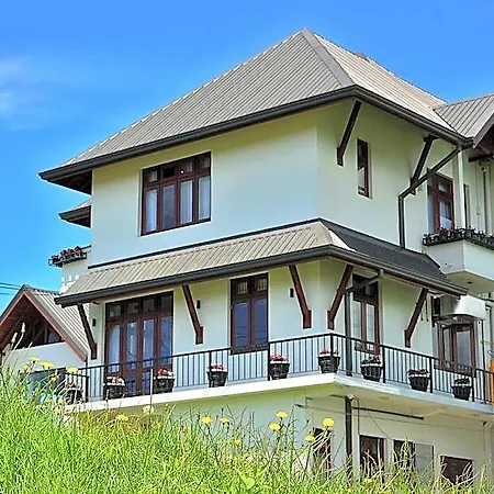 Mount Royal Hotel