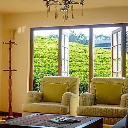 Tea Fields - Free Breakfast, Just 4km From City, Near Gregory
