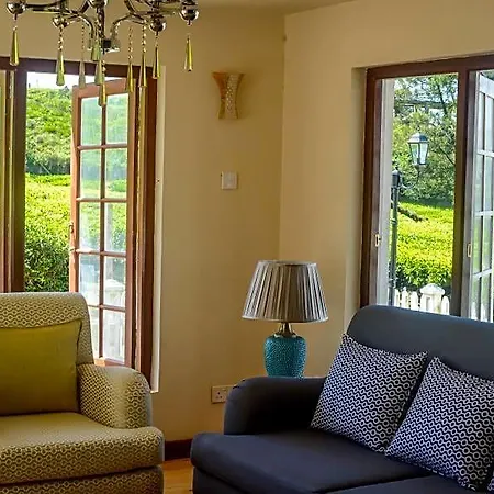 Tea Fields - Free Breakfast, Just 4km From City, Near Gregory Nuwara Eliya