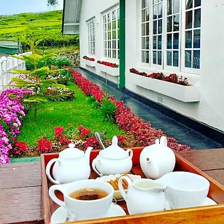 Tea Fields - Free Breakfast, Just 4km From City, Near Gregory Villa *