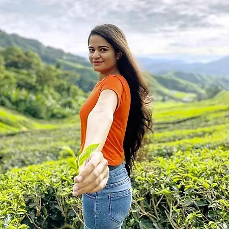 Tea Fields - Free Breakfast, Just 4km From City, Near Gregory Nuwara Eliya
