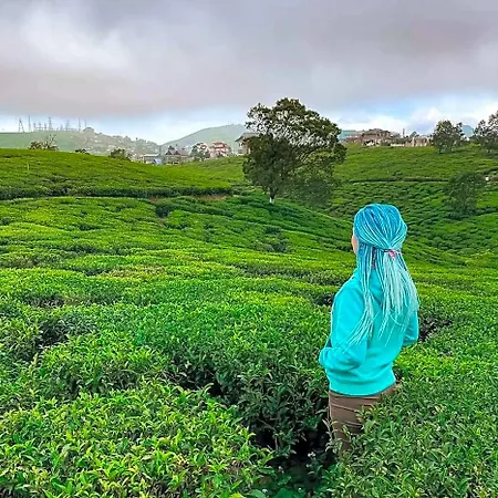 Tea Fields - Free Breakfast, Just 4km From City, Near Gregory