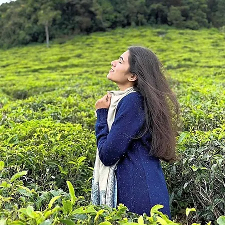 Tea Fields - Free Breakfast, Just 4km From City, Near Gregory Villa