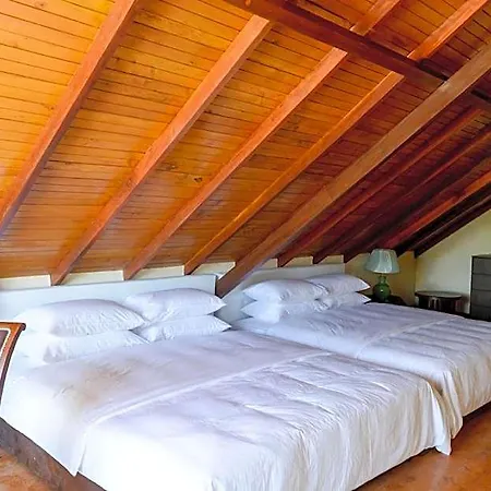 Villa Tea Fields - Free Breakfast, Just 4km From City, Near Gregory