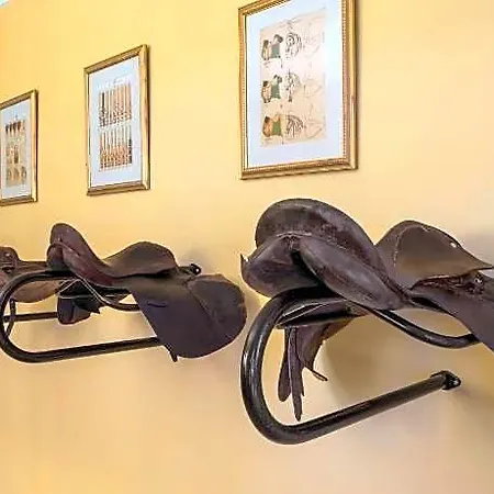 Villa Hill Rise Luxury & Stables By Edwards Collection - *