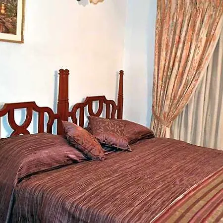 Cocoon Hills