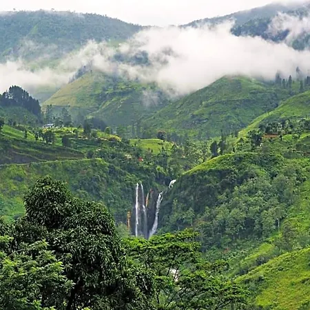Resort Ashley Nuwaraeliya Nuwara Eliya