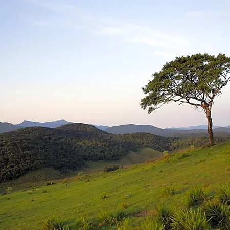 Resort Ashley Nuwaraeliya