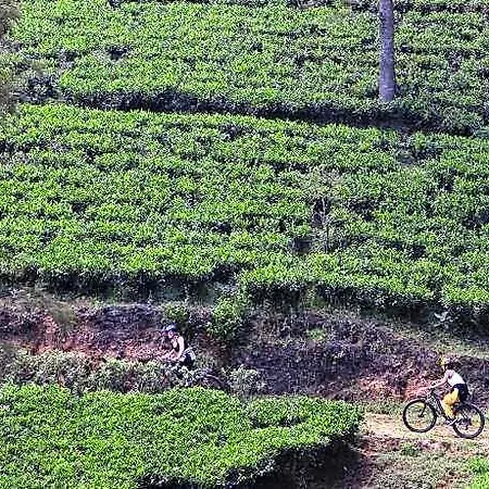 Heritance Tea Factory (adults Only) Hotel Nuwara Eliya