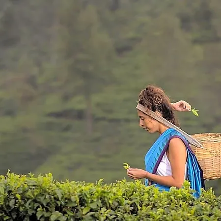Heritance Tea Factory (adults Only) Nuwara Eliya