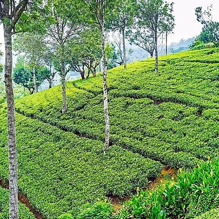 Heritance Tea Factory (adults Only) Nuwara Eliya