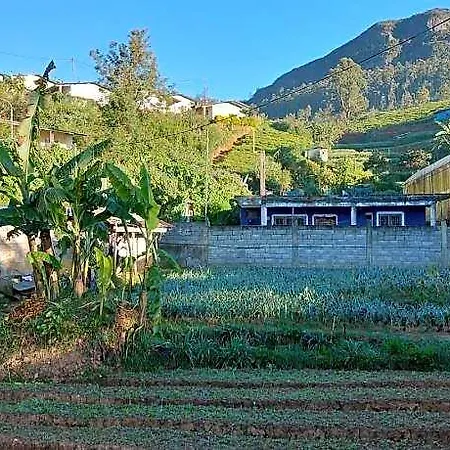 Green Villa *
