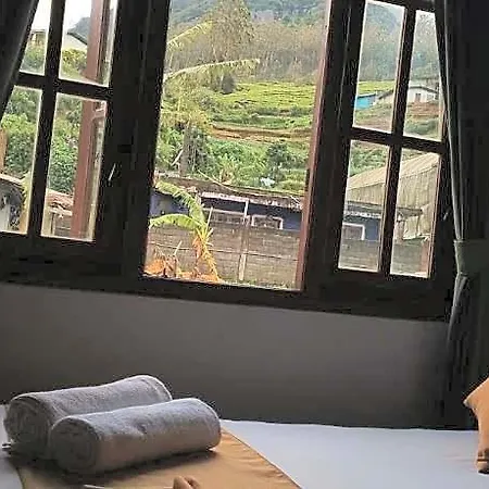 Hotel Green Villa *