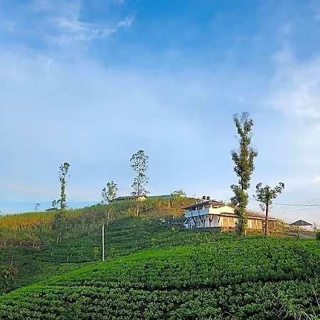 Tranquil Ridge Hilltop 3*