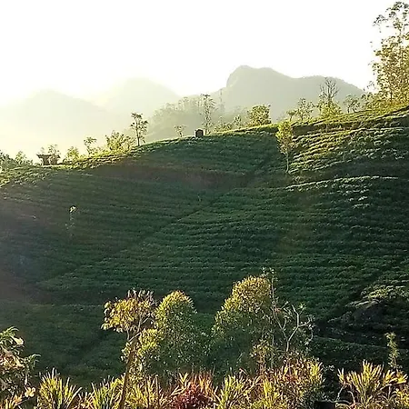Hotel Tranquil Ridge Hilltop 3*