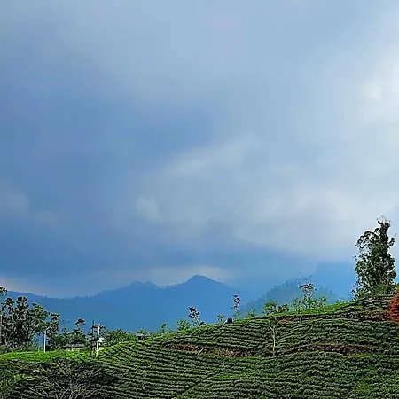 Tranquil Ridge Hilltop 3*