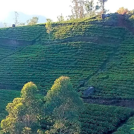 Hotel Tranquil Ridge Hilltop