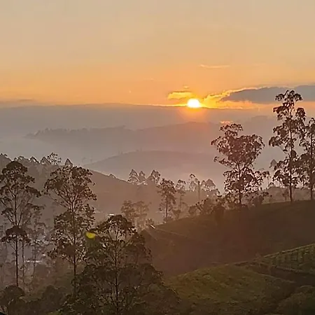 Tranquil Ridge Hilltop