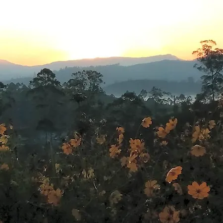 Tranquil Ridge Hilltop 3* Nuwara Eliya